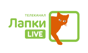 Лапки LIVE